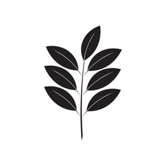 Katuk leaves icon template