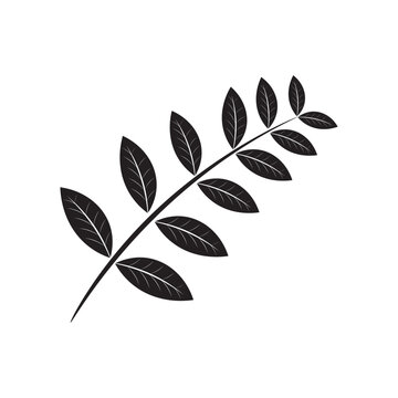 Katuk leaves icon template