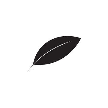 Katuk leaves icon template