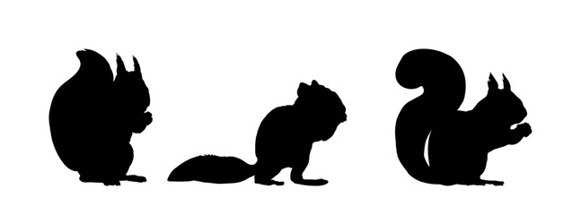 Set of Squirrel silhouette vector illustration