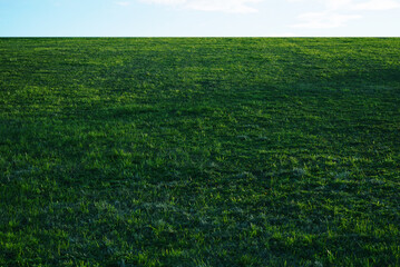 Background image of green grass field under blue sky