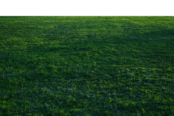 Background image of green grass field under transparent sky