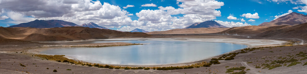 Panoramic view of Laguna Hedionda with flocks of famingos, Nor Lípez, Bolivia