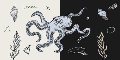 kraken octopus sketch vintage retro set doodle © CHEESEBURGER