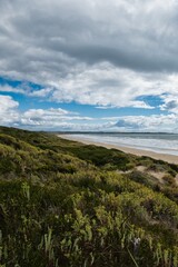 Fototapeta premium Wild and beautiful Tasmanian beaches in Narawntapu-National Park, Tasmania, Australia. Wild and rough and cloudy seaside of Tasmania. Lush green bushes at the dunes of the northern Tasmanian coast. 