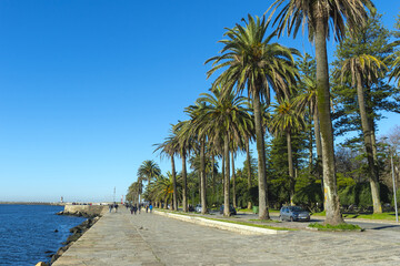 Foz do Douro seafront with palm trees in winter , Oporto Beach, Portugal