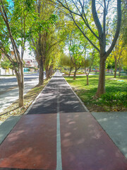 urban running track in a park, surrounded by trees and grass. 