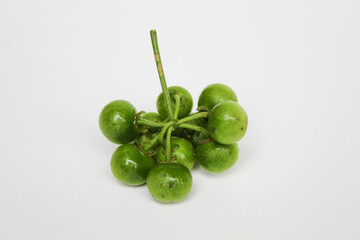Fruit of Solanum nigrum, the European black nightshade or leunca, isolated on white background