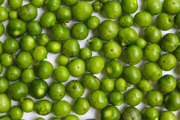Fruit of Solanum nigrum, the European black nightshade or leunca, flat lay or top view