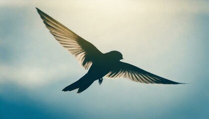 Obraz premium A silhouette of a bird flying in the sky.