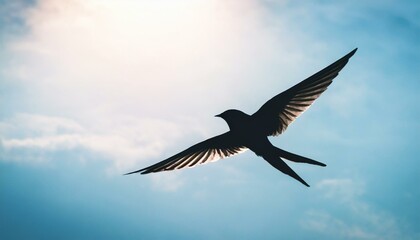 Obraz premium A silhouette of a bird flying in the sky.