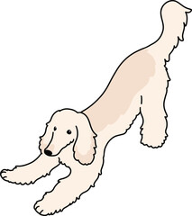 Simple and cute playful Afghan Hound illustration