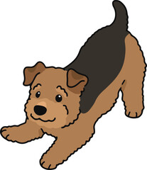 Obraz premium Simple and cute playful Welsh Terrier illustration