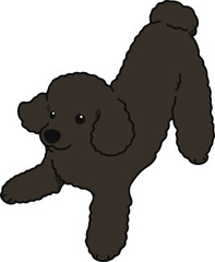 Simple and cute playful black Poodle illustration