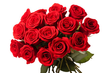 A bouquet of red roses on a white background.