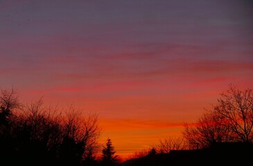 Fototapeta premium Red sunset with clouds and trees silhouettes