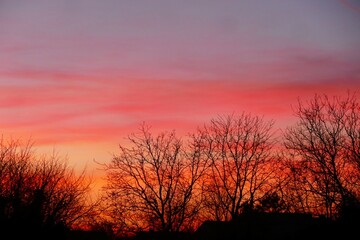 Red sunset with clouds with trees silhouettes
