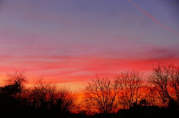 Obraz premium Red sunset with clouds and trees silhouettes