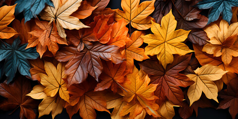 Autumn falling leaves background This image shows a beautiful pattern of an autumn leaf carpet.
