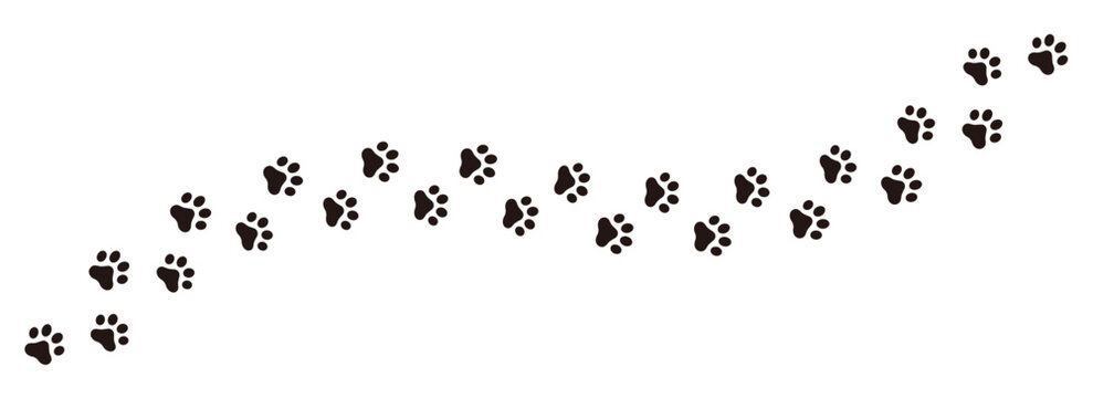 Paw footprint of dog or cat