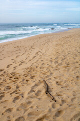footsteps on the beach, big waves