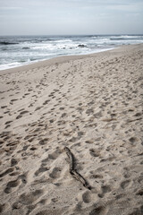 Fototapeta na wymiar footprints on the beach blue sea