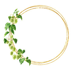 Fresh green hops (Humulus lupulus) branch round  frame. Hand drawn watercolor illustration isolated on white background