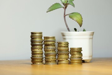 Wealth, financial success, business an economic growth, savings and stock money symbolized by stacked money coins and plant.