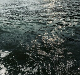 Sea Wave.