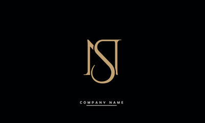 NS, SN, N, S Abstract Letters Logo Monogram