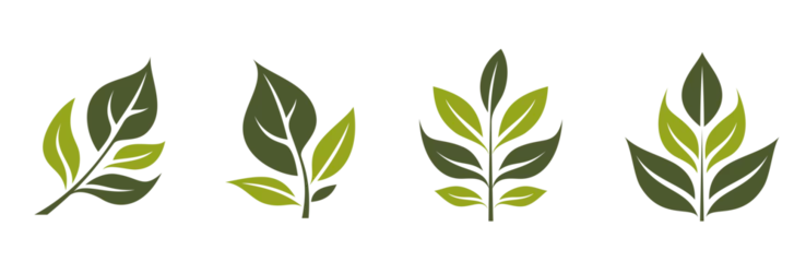 Poster green twig icons. eco, botanical and organic symbol. vector illustration in flat design © Назарій