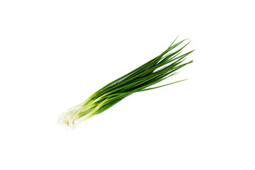 Green spring onion scallion