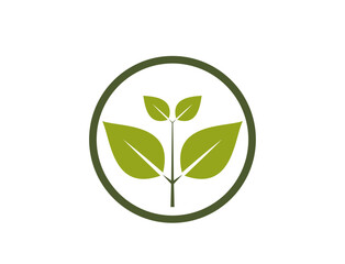 organic icon. sprout in a circle. bio and eco friendly symbol. vector image in flat design