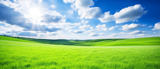 Fototapeta na wymiar Green meadow on the hill and blue sky with clouds