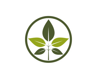 bio product icon. sprout in a circle. organic, bio and eco friendly symbol. vector image in flat design