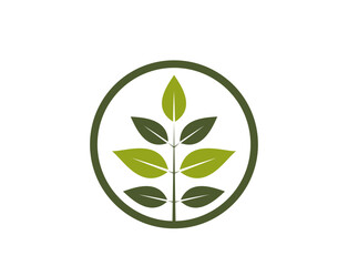natural product icon. twig twig with leaves in a circle. eco friendly and bio symbol. vector image in flat design
