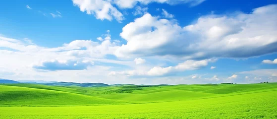 Fotobehang Green meadow on the hill and blue sky with clouds © Inlovehem