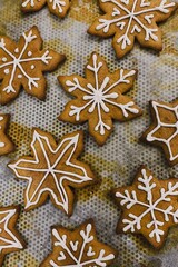 christmas gingerbread cookies