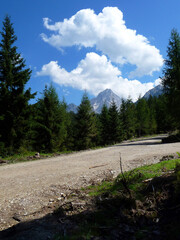 Eine Forststraße im Wald und im Hintergrund Gipfel des Dachsteinmassivs.