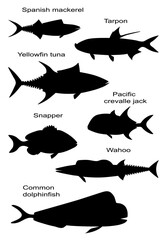 Ocean game and commercial fish species. Vector black silhouette image set.