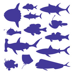 Various types of Fish silhouette. Vector color image.