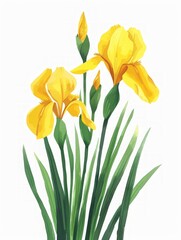 Yellow Iris and White Background with Group of Flowers Illustration Generative AI