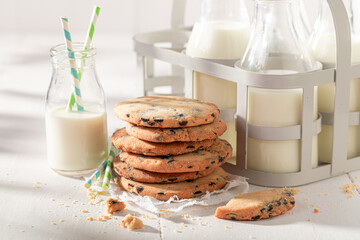 Fresh and homemade vanilla cookies with chocolate chips.