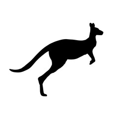 Kangaroo silhouette - vector illustration