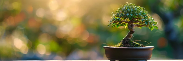 Fotobehang Tranquil Bonsai Tree in Miniature Nature Generative AI © AlexandraRooss