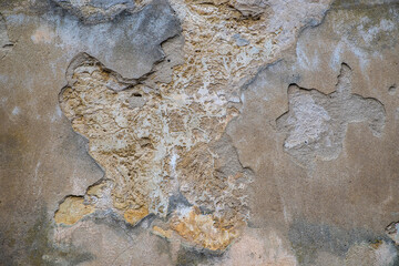 The texture of old peeling plaster on the wall.