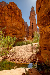 Landscape of the Essendilene canyon in the Sahara Desert, Algeria. A view of the bottom of the canyon with the water of the Guelta and the red sandstone cliffs - 732662964