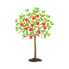 Obraz premium tree with leaves