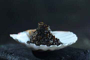 Black caviar. Caviar is served in a shell. An exquisite snack. Natural omega.