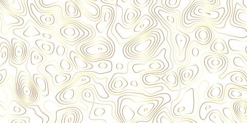 Abstract golden topography vector background. Topographic map. Geographic mountain relief. counter map wavy line paper textrue. grid curve line abstract vector illustration